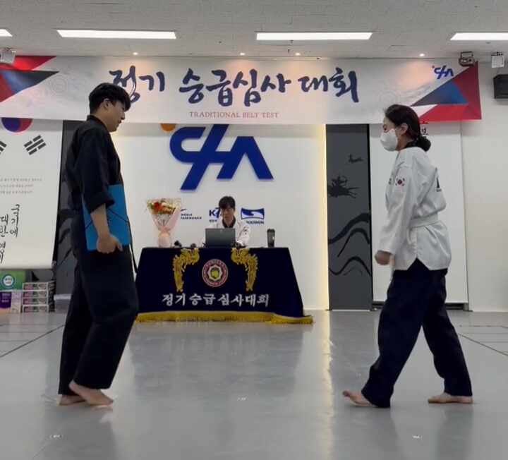 차태권도 정기 승급심사대회 현장