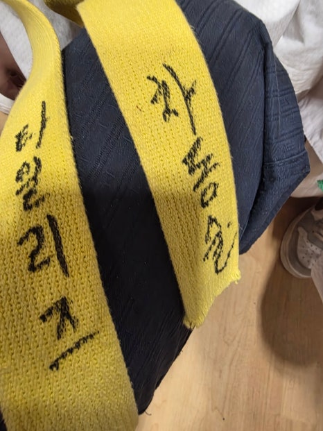 프랑스 미요 시범